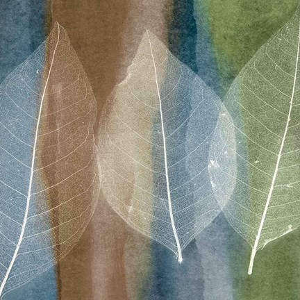 Framed Leaf Structure II Print