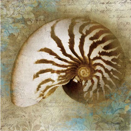 Framed Nautical Beauty Print