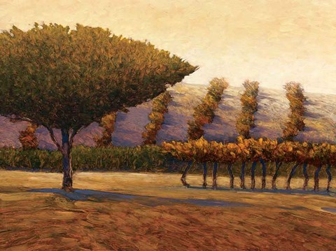 Framed Eysines Print