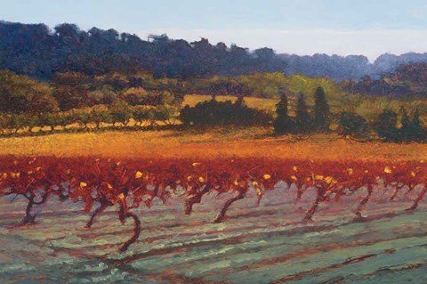 Framed Saint Saturnin-les-Apt Print