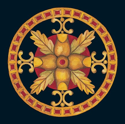 Framed Rosette IV Print