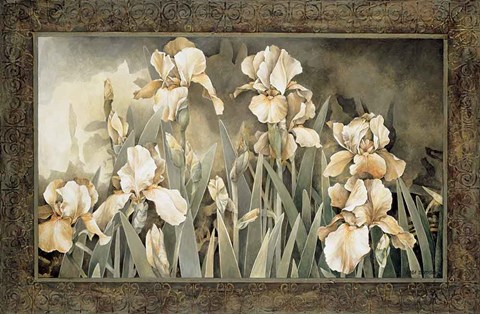 Framed Field of Irises Print