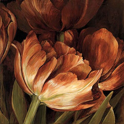 Framed Color Harmony II Print