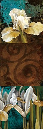 Framed From My Garden I Print