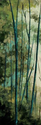 Framed La Senda I Print