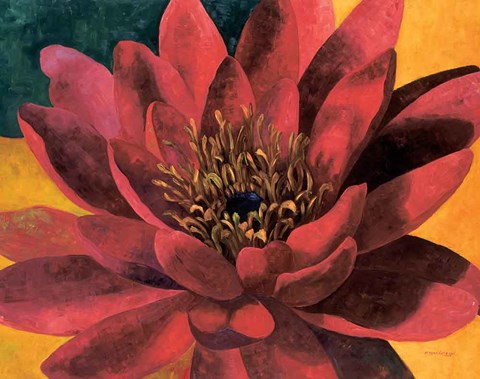 Framed Red Water Lily Print