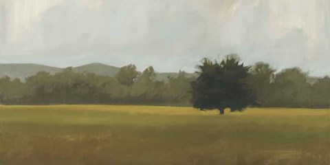 Framed Silent One Print