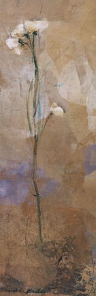 Framed Flowers Of June Series II Print