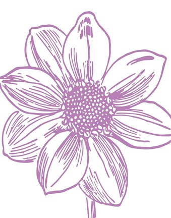 Framed Florette I Print