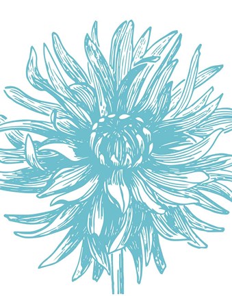 Framed Florette II Print