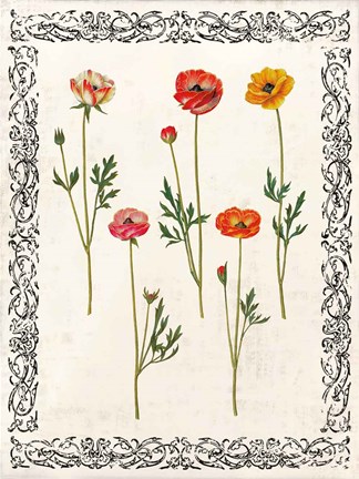 Framed Spring Blooms II Print