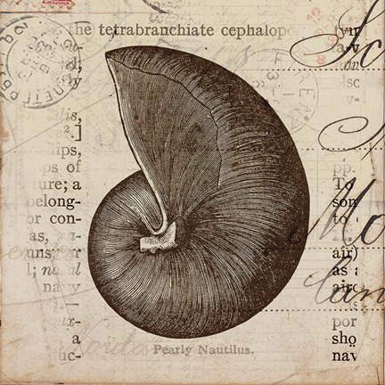 Framed Ocean Collection II Print