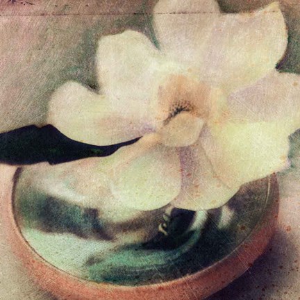 Framed Nature&#39;s Blossoms III Print