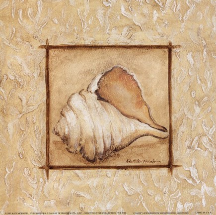 Framed Conch Print