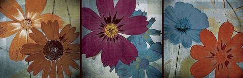 Framed In the Cosmos Print