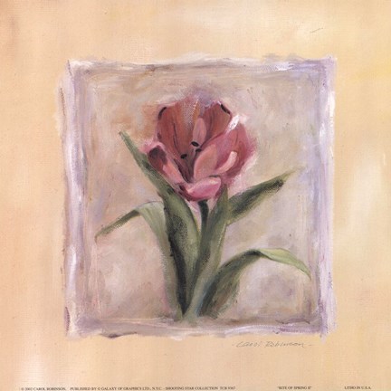 Framed Rite of Spring II Print