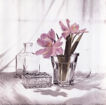 Framed Vanity Floral II Print