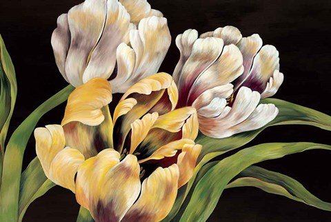 Framed Holland Calling Print