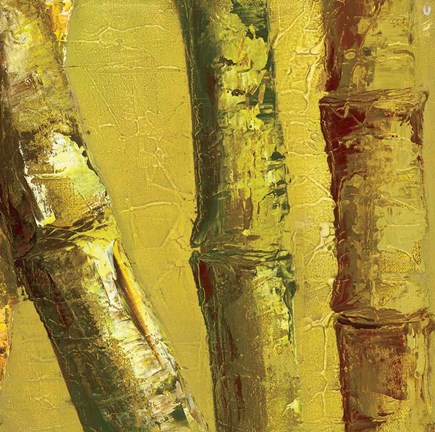 Framed Bamboo Columbia IV Print