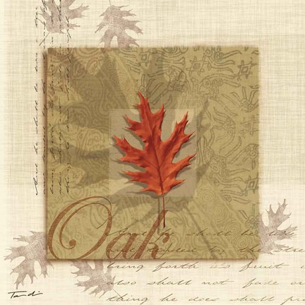 Framed Oak Print