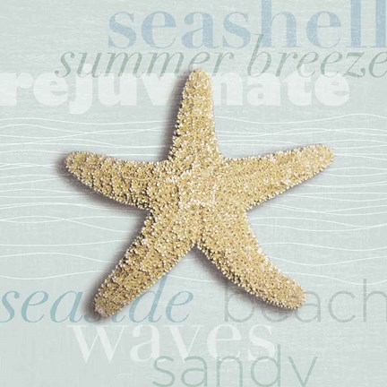 Framed Beach Collection II Print