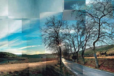 Framed Peneds Vineyards Print