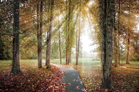 Framed Following The Light Print