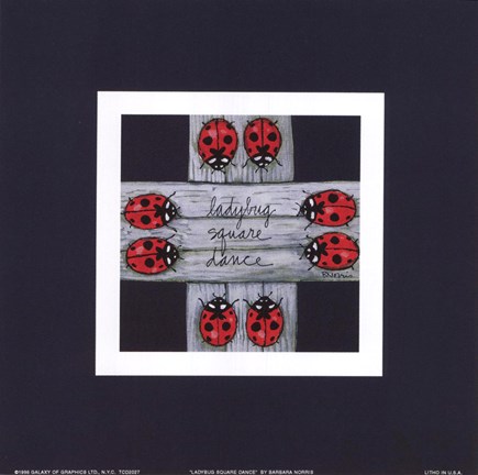 Framed Ladybug Square Dance Print