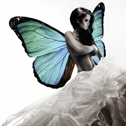 Framed Winged Beauty #1 Print