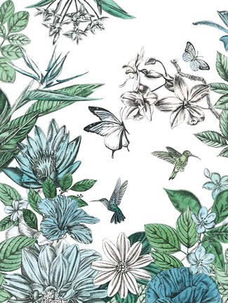 Framed Butterflies and Flowers II Print