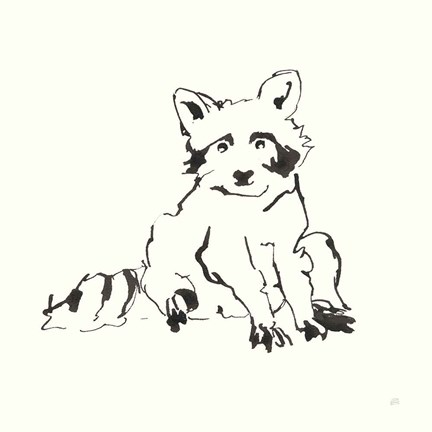 Framed Line Raccoon Print