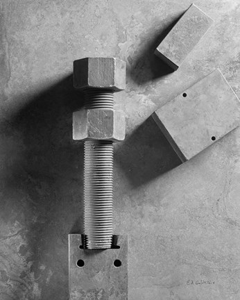 Framed Bridge Bolts Print