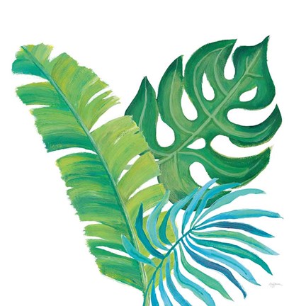 Framed Coconut Palm VII Print