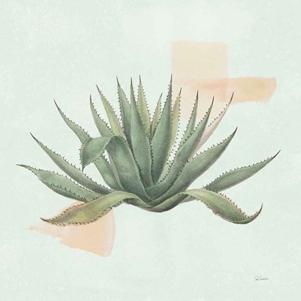 Framed Desert Color Succulent I Mint Print