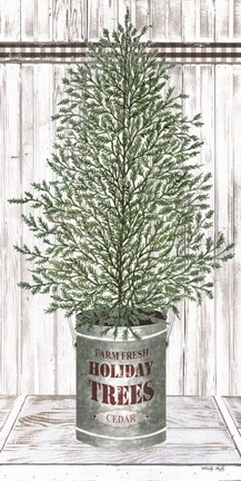 Framed Galvanized Pot Cedar Print