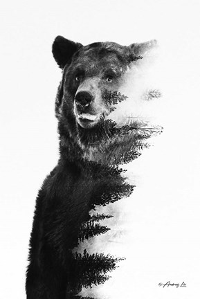 Framed Black &amp; White Bear Print
