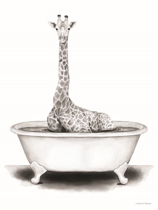 Framed Giraffe in Tub Print