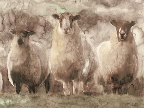 Framed Three Sheep Print