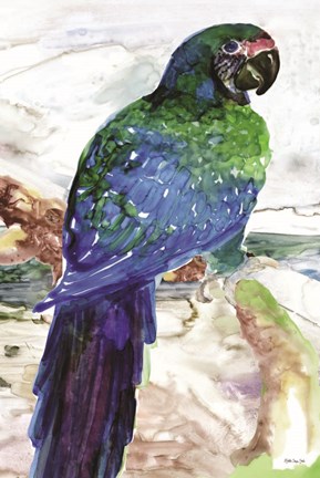 Framed Blue Parrot on Branch 1 Print