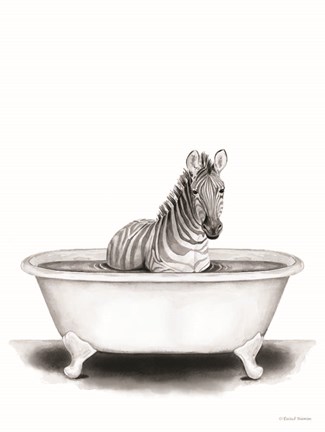 Framed Zebra in Tub Print