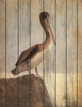 Framed Vintage Pelican II Print