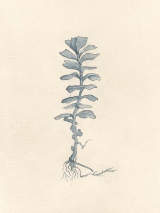 Framed Uprooted I Print