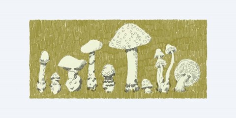Framed Forest Fungi II Print