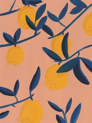 Framed Sunlit Grove II Print