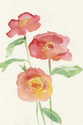 Framed Petite Fleur II Print