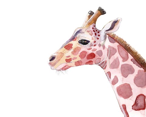 Framed Sunset Safari VIII Print