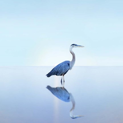 Framed Beachscape Heron II Print