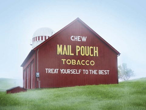 Framed Barn Scene VIII Print