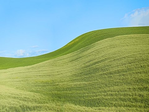 Framed Farmscape Photo IV Print