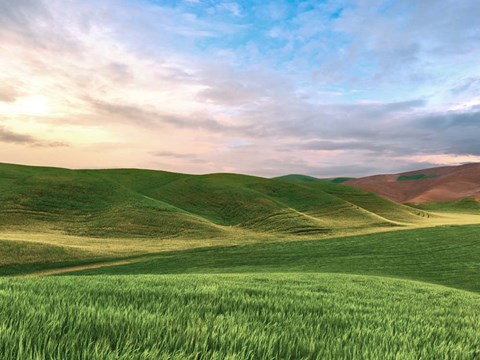 Framed Farmscape Photo V Print